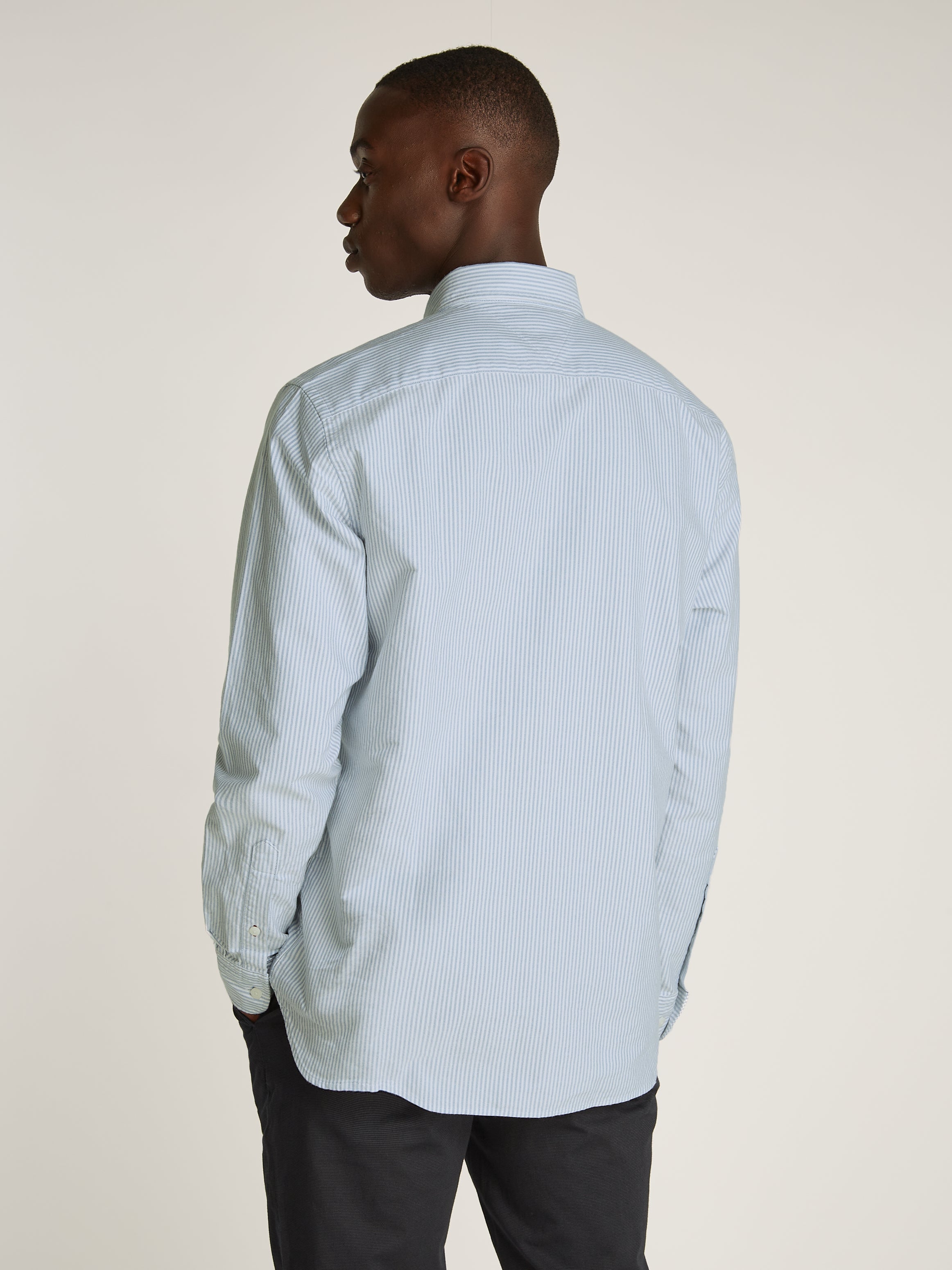 Blue stripe Oxford shirt